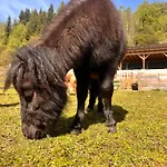Lahnerhof