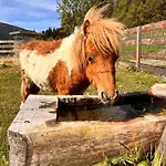 Lahnerhof Appartamento