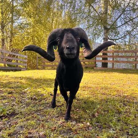 Lahnerhof Lägenhet Arriach