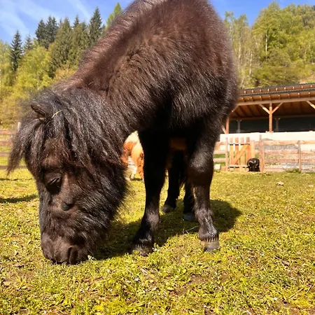 Lahnerhof