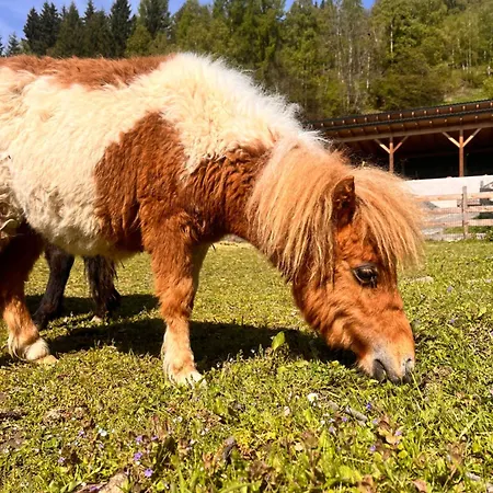 Lägenhet Lahnerhof *