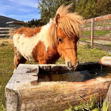 Lahnerhof Appartement