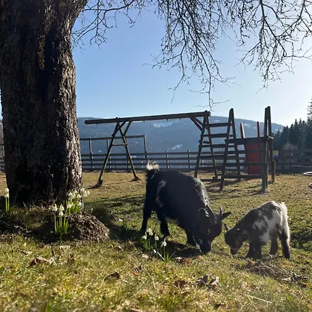 Lahnerhof Arriach