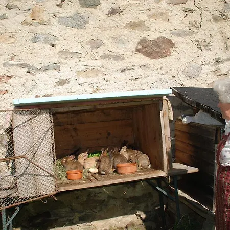 Lahnerhof *