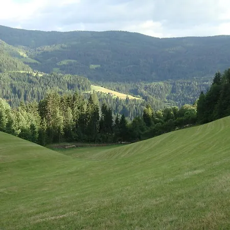 Appartamento Lahnerhof *