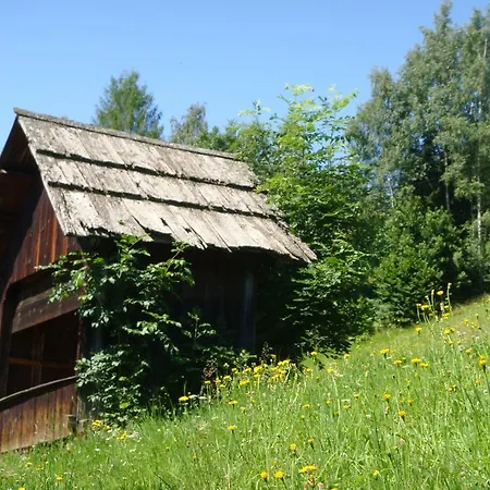 Apartment Lahnerhof Arriach