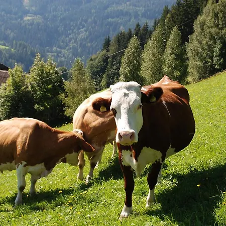 Appartamento Lahnerhof *