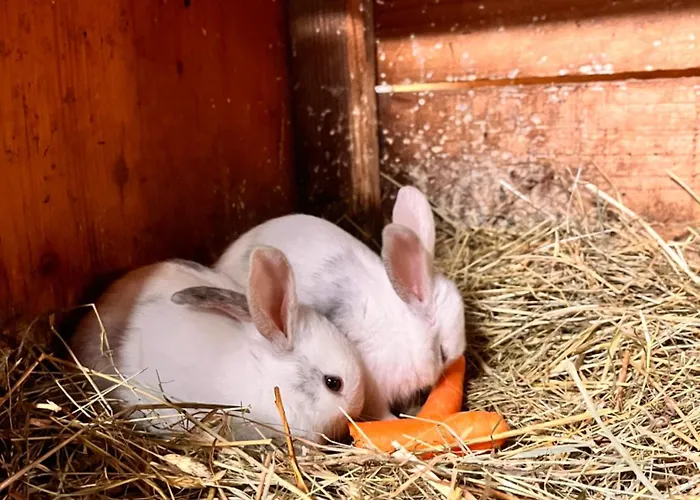 Lahnerhof דירה *