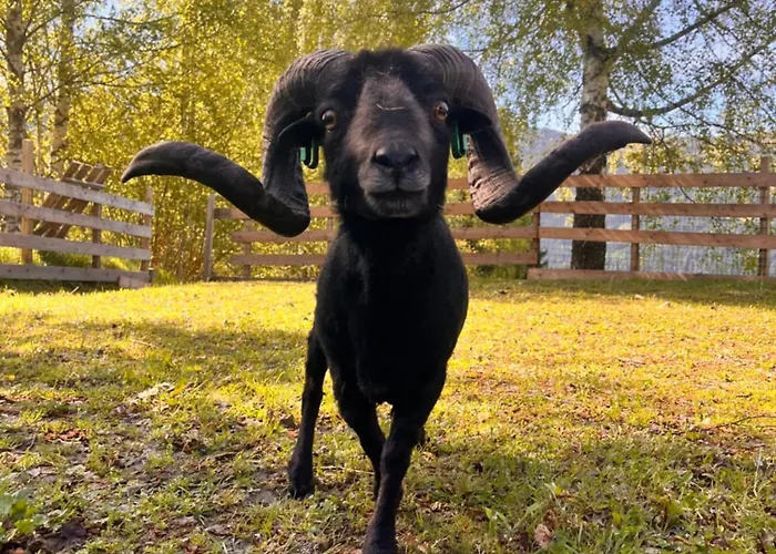 Lahnerhof דירה Arriach