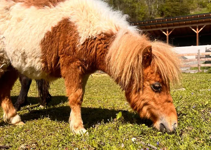 דירה Lahnerhof *