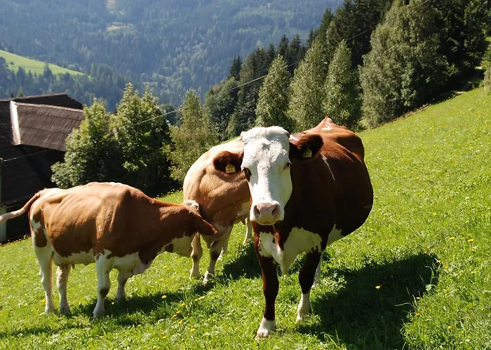 דירה Lahnerhof *